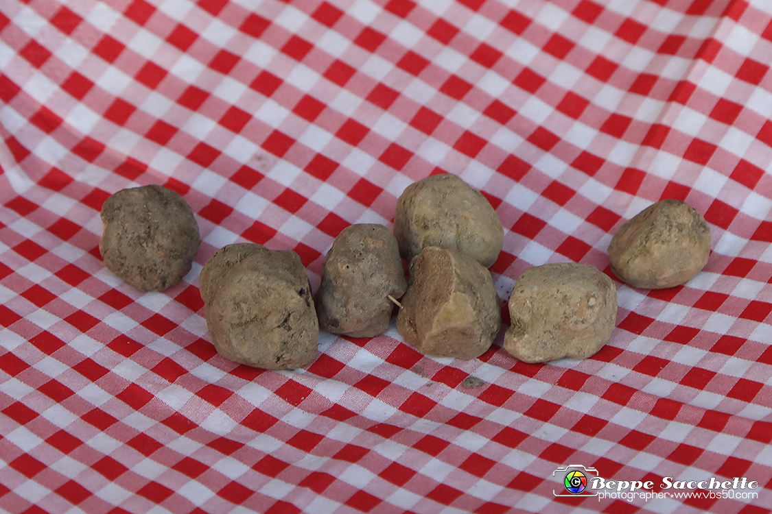 VBS_5529 - 10.ma Fiera Nazionale del Tartufo e Fiera dei Santi.jpg